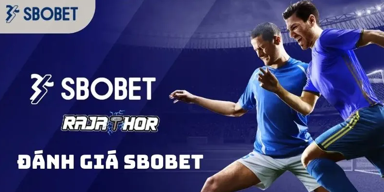 Lý do nào để chọn Sbobet Kubet